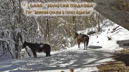 Конный тур "Зимняя сказка в горах Адыгеи" от базы "Золотая подкова"