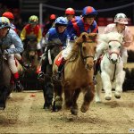 Просмотр фото «Стипль-чез на пони» Просмотр фото «Стипль-чез на пони»