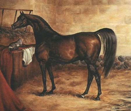 Годольфин-Арабиан: история жизни знаменитой лошади.