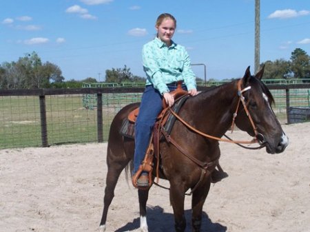 Фото лошади породы флоридский крэкер гнедой масти