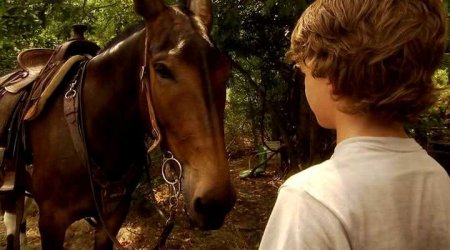 Томми и волшебный мул. Смотреть фильм про лошадей онлайн.