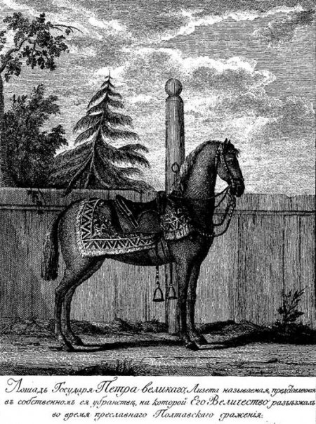 Лизетта, любимая лошадь Петра Великого