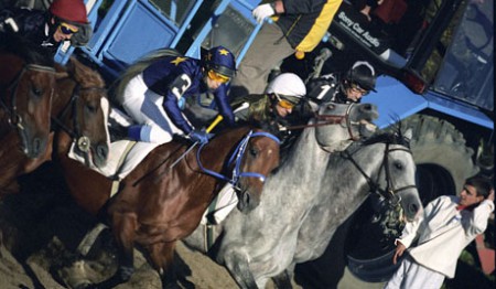Лошадь британской королевы победила на знаменитых скачках в Аскоте