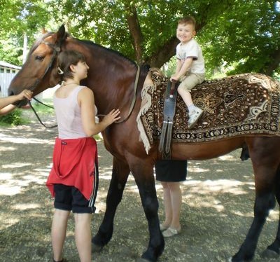 27 детей больных церебральным параличом посетят конно-спортивную базу