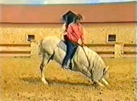 Марио Люраши - часть II : высшая школа. Как научить лошадь делать невозможное. Смотреть фильм про лошадей онлайн.