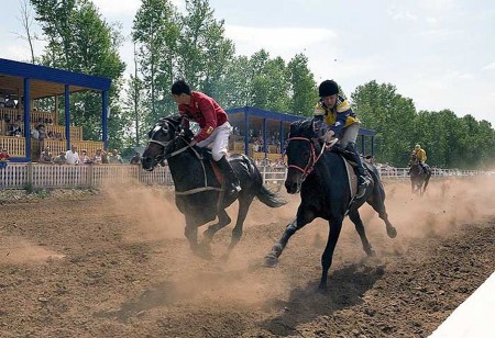 Конные соревнования пройдут в Иркутском районе