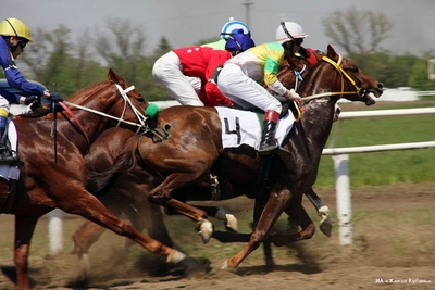Бекетов и Чернова открыли конно-спортивную школу в Динском районе