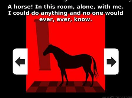 Лошадь в темной комнате. Онлайн игра про лошадей