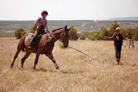Воспитание и выездка молодой лошади 3 часть
