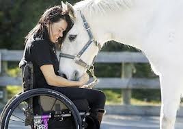 Лошади и инвалиды