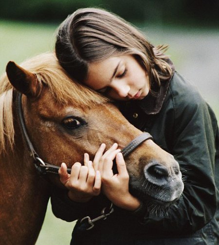 Как найти общий язык с лошадью?