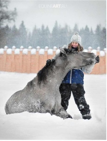 Девушка и лошадка резвятся в снегу