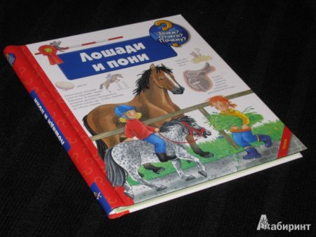 Книга Андреа Эрне "Лошади и пони"