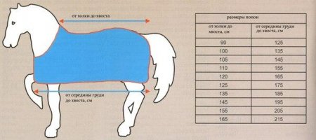 Схема стандартных параметров лошади