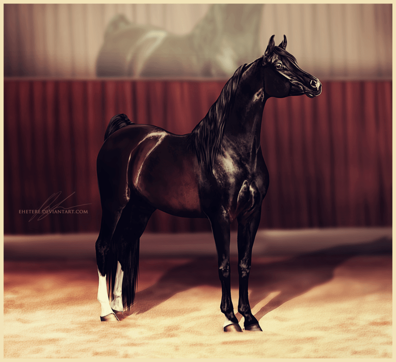 чистокровная верховая арт. кобыла раффиан. виртуальная конюшня. френкель лошадь. резвое имя лошади популярный.