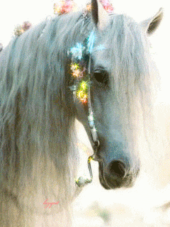 GIF- открытки с лошадьми