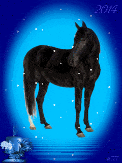 GIF- открытки с лошадьми