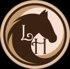 lusitano-horse