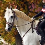 Просмотр фото «Цени, моли и жди. Три слова, которые дают жизнь.» Просмотр фото «Цени, моли и жди. Три слова, которые дают жизнь.»