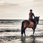 Просмотр фото «Я дышу тобой. Я живу тобой. И думаю я умру без тебя» Просмотр фото «Я дышу тобой. Я живу тобой. И думаю я умру без тебя»