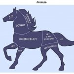 Просмотр фото «Инструкция: где гладить лошадь?» Просмотр фото «Инструкция: где гладить лошадь?»