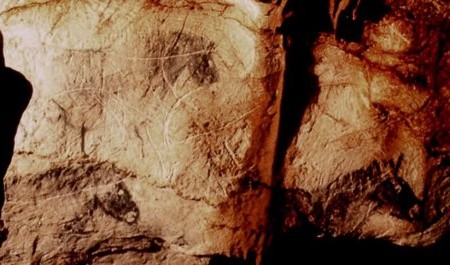 Гравюры и картины лошадей. Пещера Коске, Франция.