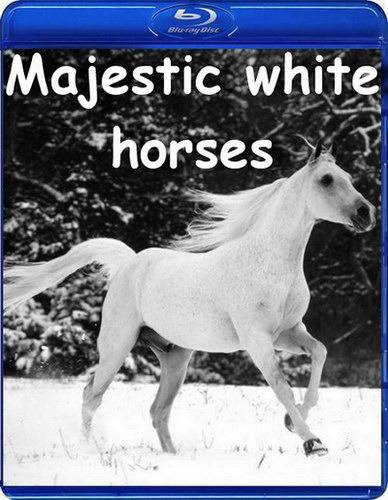 Королевские белые лошади. Испанская школа верховой езды в Вене. Смотреть фильм про лошадей онлайн.