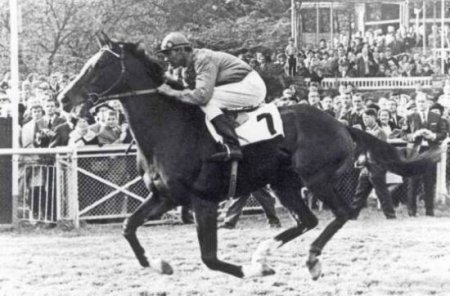 Фото скачущего Анилина