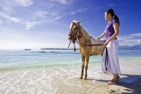 Фото пони породы Бали соловой масти