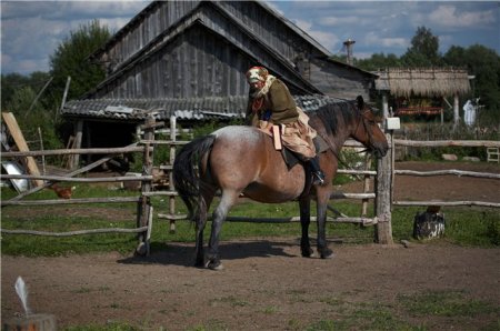 Фото лошади гнедо-чалой масти