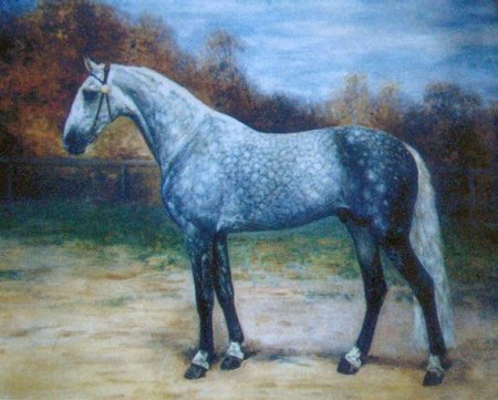 Рисунок лошади по кличке Крепыш