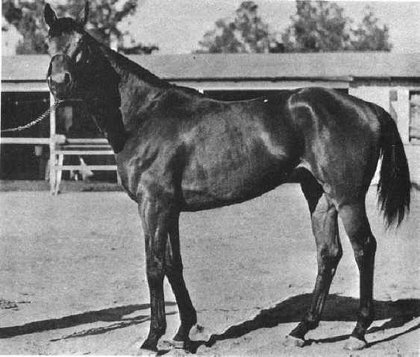 Сухарь (Seabiscuit) - лошадь века
