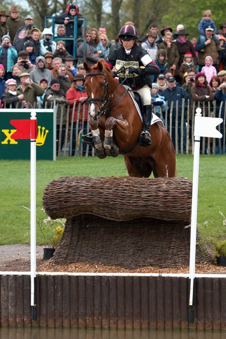 Фото лощади породы солерно рыжей масти