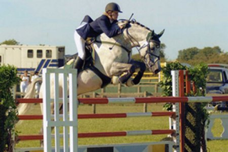 Фото лошади породы солерно серой масти
