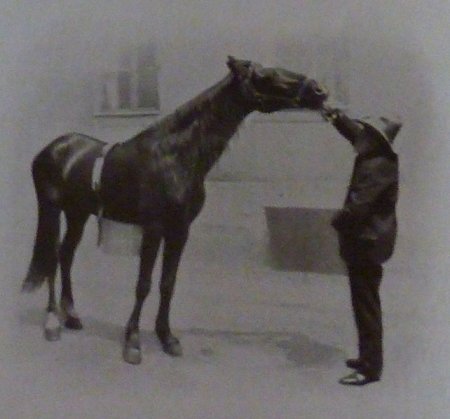 Фото лошади по кличке Умный Ганс и его хозяина Вильгельма фон Остена