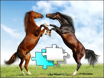 Две лошади. Онлайн игра про лошадей
