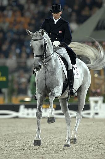 Блю Хорс Матин - призёр Всемирных конных игр 2006 года.