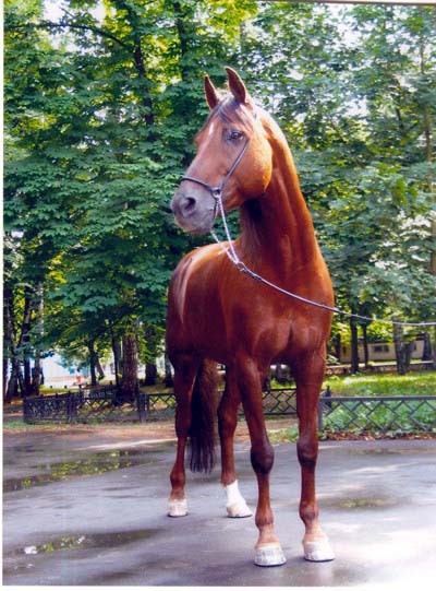 Фото лошади донской породы рыжей масти