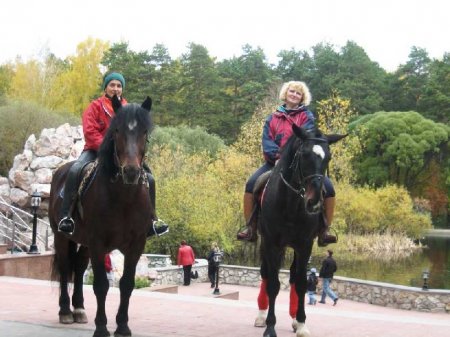 Фото двух кузнецких лошадей гнедой и караковой масти