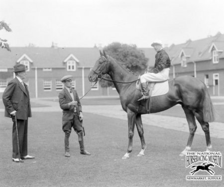 Фото лошади по кличке Гиперион