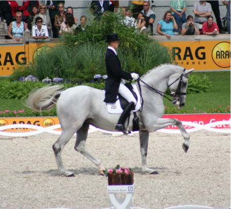 Андреас Хельстранд на лошади по кличке Блю Хорс Матин