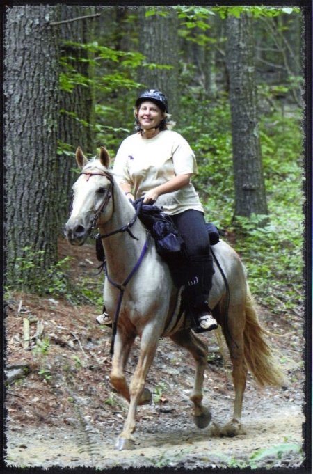 Фото виргинской горной лошади соловой масти