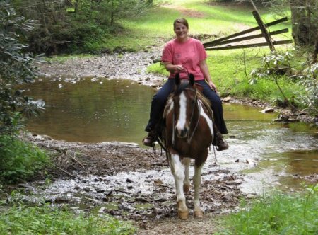 Виргинская горная порода лошадей (Virginia Highlander): фото, описание, история происхождения