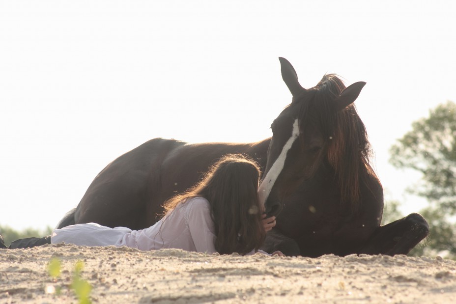 Лежа на коне. Конь со спины. Брюнетка на лошади. Девушка обнимает лошадь. Девушка с лошадью.