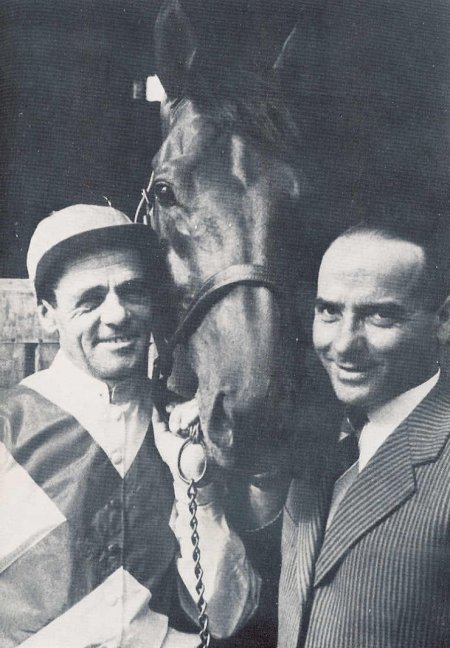 Фото лошади по кличке Рибо (Ribot)