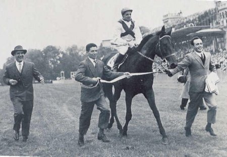 Фото лошади по кличке Рибо (Ribot)