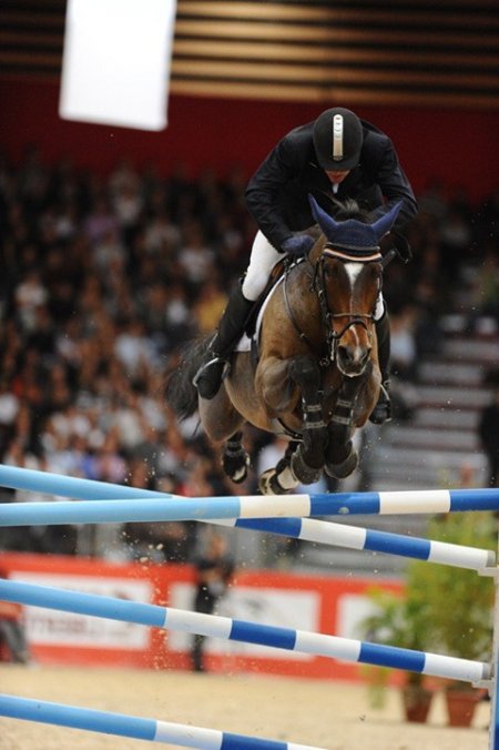 Фото лошади по кличке Оки-Доки