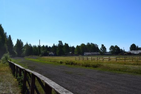 Дорожка ипподрома