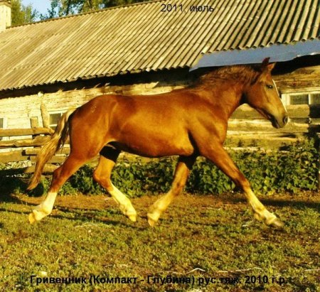 Фото русского тяжеловоза