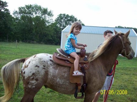 Фото американского пони чубарой масти